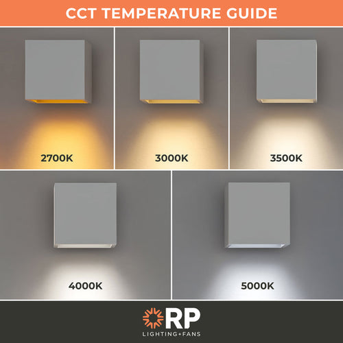 10-inch Brushed Aluminum Outdoor Wall Sconce