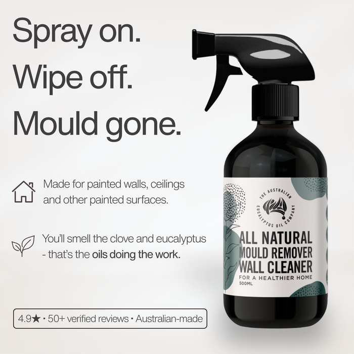 Mould Remover Wall Cleaner — spray on, wipe off, mould gone. Made for painted walls and ceilings