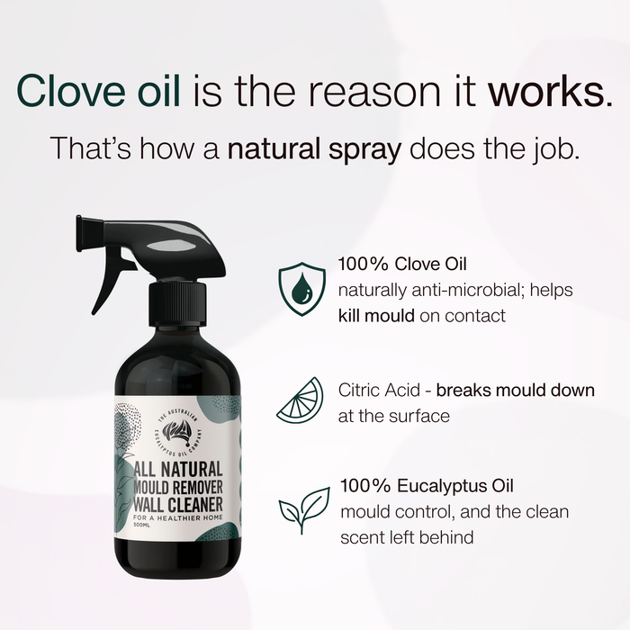 Why Mould Remover Wall Cleaner works — clove oil, citric acid and eucalyptus oil