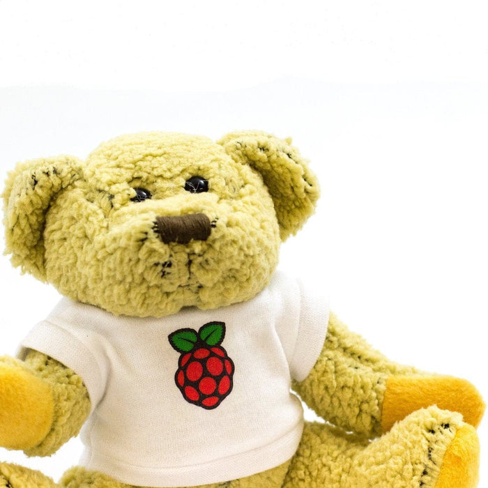 Babbage Bear - Official Raspberry Pi Mascot [Discontinued] by Raspberry Pi - The Pi Hut