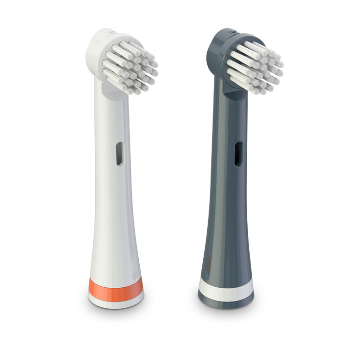 Replacement Brush Heads 2 Pack - Shadow the Shark | Brusheez®