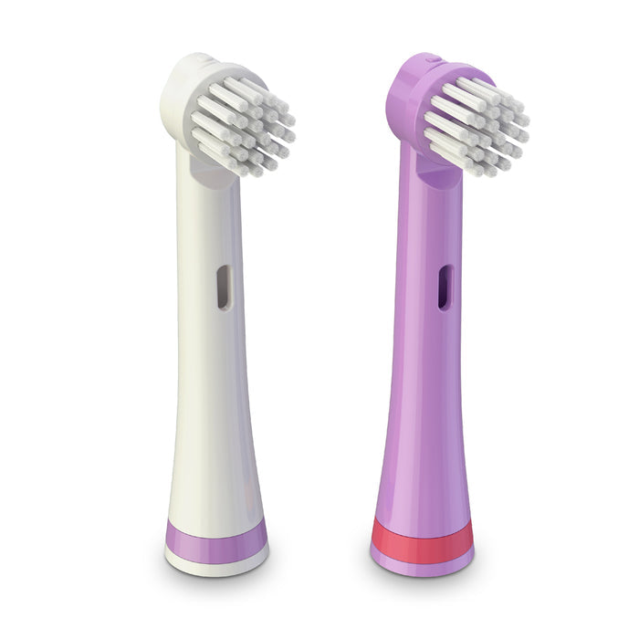 Replacement Brush Heads 2 Pack - Shadow the Shark | Brusheez®