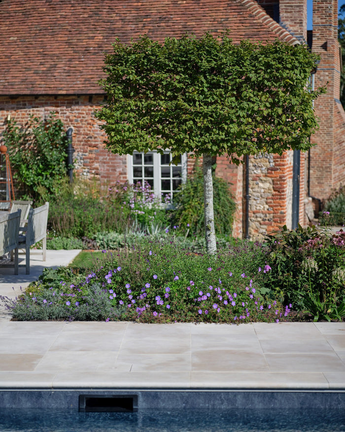 Buscot Limestone Etched Bullnose Coping