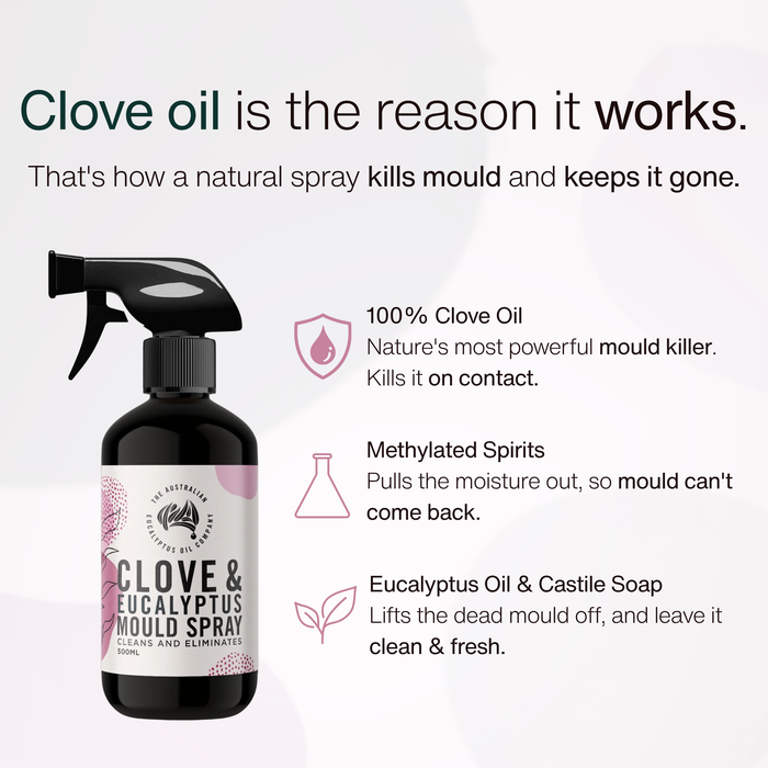 How Clove & Eucalyptus Mould Spray works — clove oil, methylated spirits, eucalyptus and castile soap