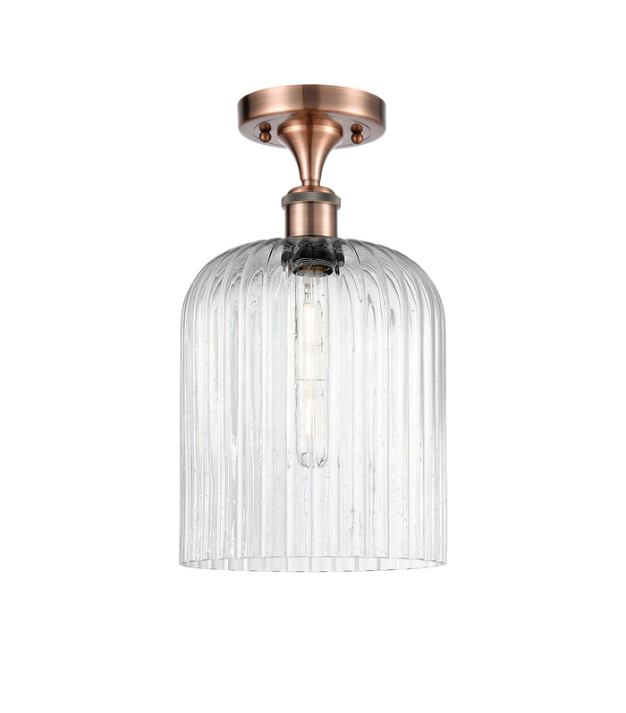 Antique Copper / Seedy