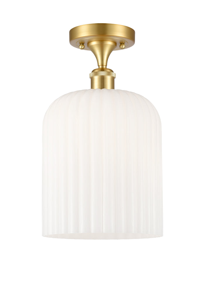 Satin Gold / Gloss White