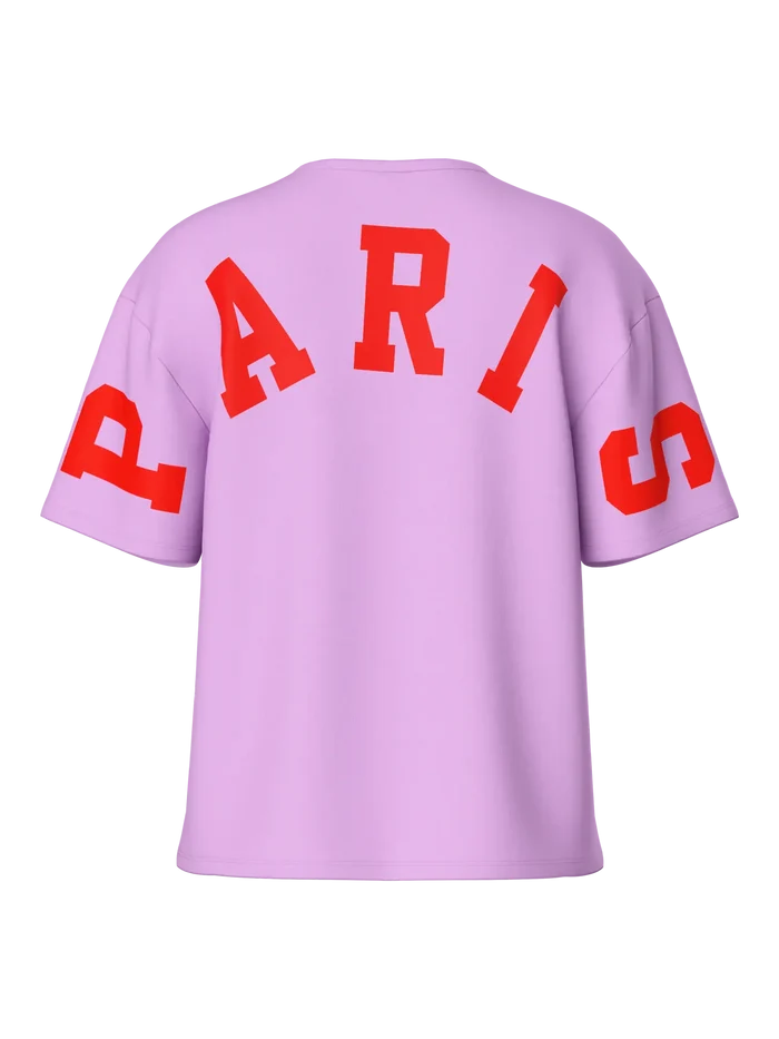 Fancy neck sweater violet paris
