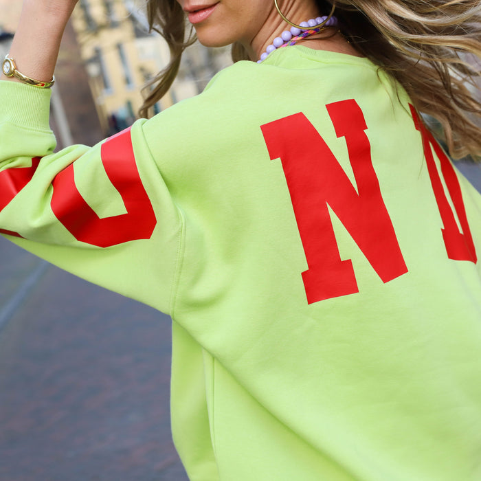 Fany oversized sweater celery green