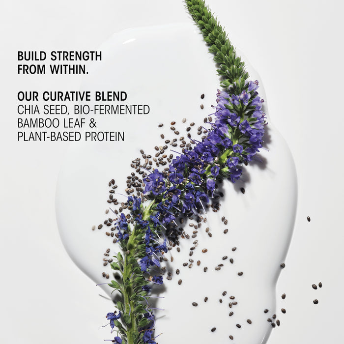 Hair Alchemy Discovery Collection