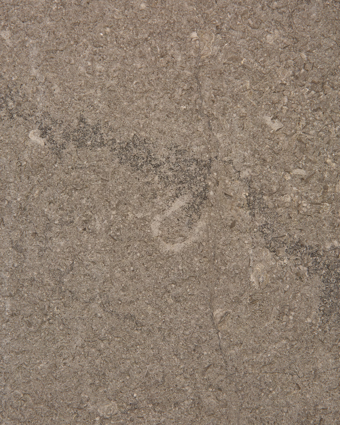 Kimmeridge Limestone Acid Etched Slab