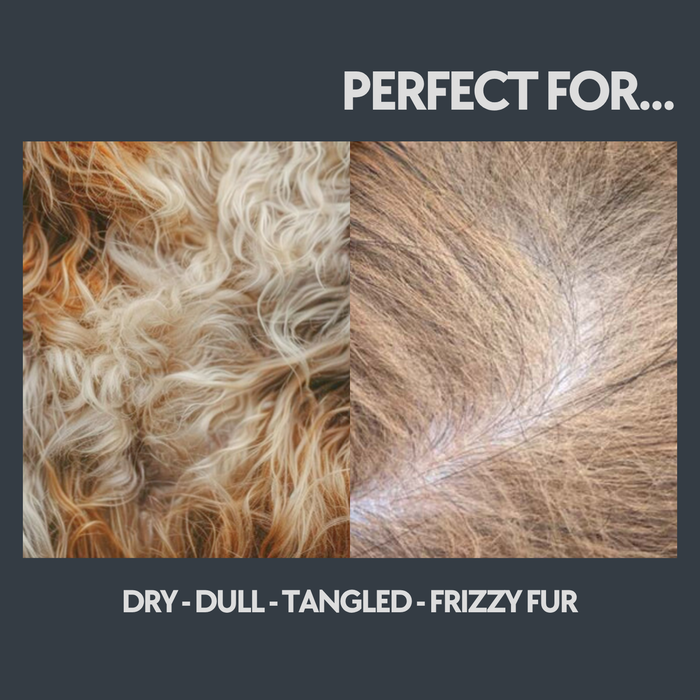 Prebiotic Serum – Deep Skin Hydration & Fur Nourishment (100ML / 3.4 oz)