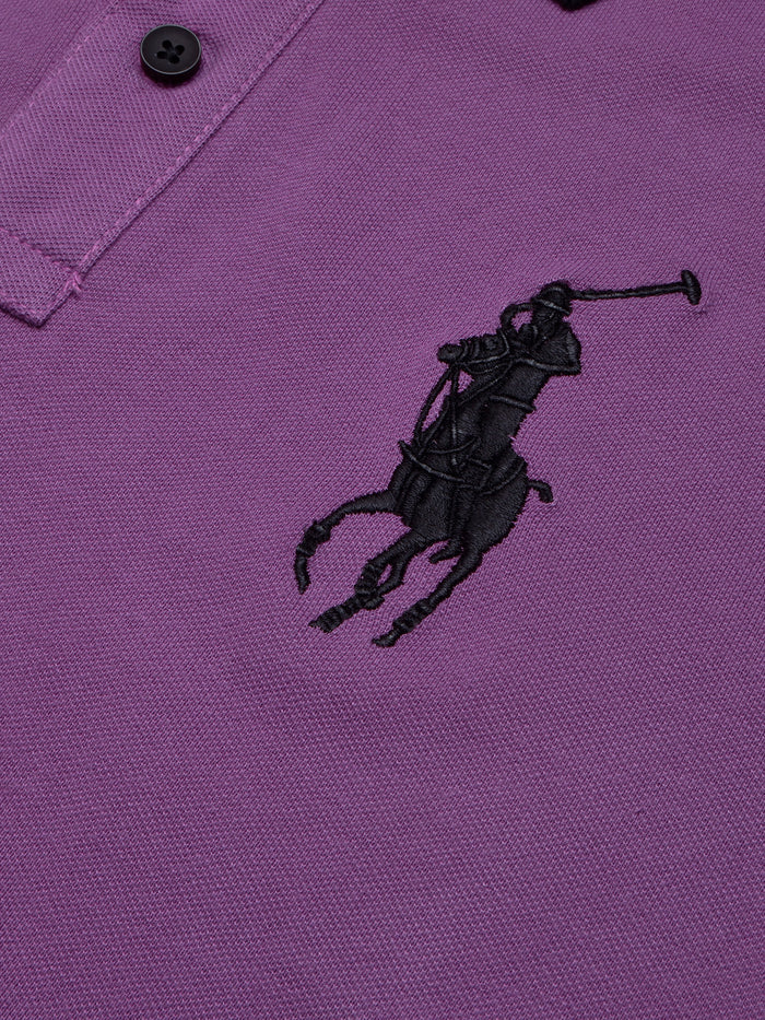 PRL Stylish Pique Summer Polo For Men-Purple & Navy-BR13012