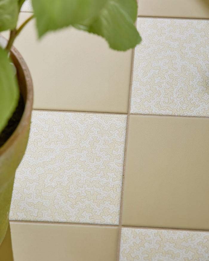 Sanderson - Truffle Ochre Porcelain||Sanderson-Plain-Ochre-Porcelain