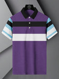 Summer Polo Shirt For Men-Purple Melange & Navy-BR12937