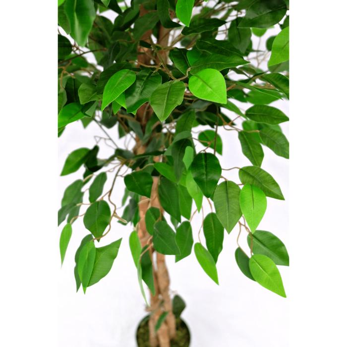 UNICORN Artificial Ficus 150cm
