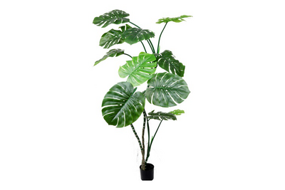 UNICORN Artificial Monstera Plant 70x89cm