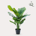 UNICORN Artificial Plant - Calathea Orbifolia - Shade Plant - 60 cm