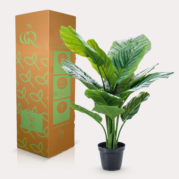UNICORN Artificial Plant - Calathea Orbifolia - Shade Plant - 60 cm