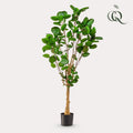 UNICORN Artificial plant - Polyscias - Aralia - 150 cm
