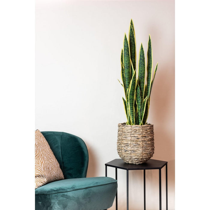 UNICORN Artificial Plant - Sanseveria Trifasciata - Mother-in-law's Tongue - 97 cm
