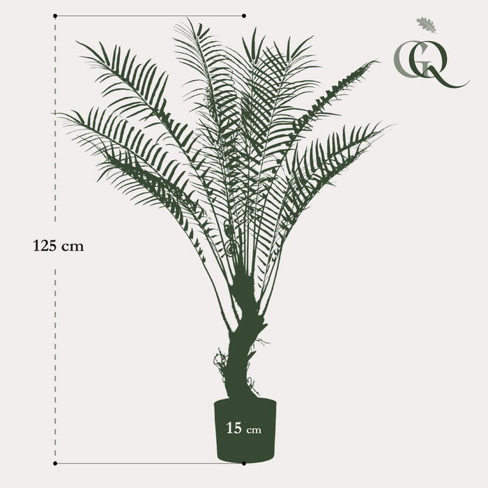 UNICORN Artificial Plant - Tree Fern - x15 -1 25cm