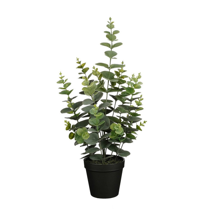 UNICORN Eucalyptus Artificial Plant in Flower Pot - H53 x Ø23 cm - Green