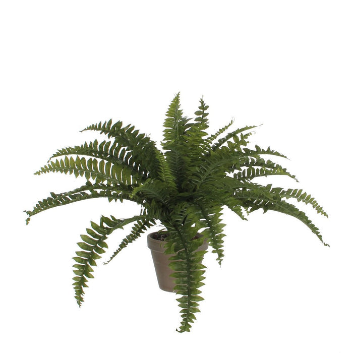 UNICORN Fern Artificial Plant in Flower Pot Stan - H40 x Ø70 cm - Green