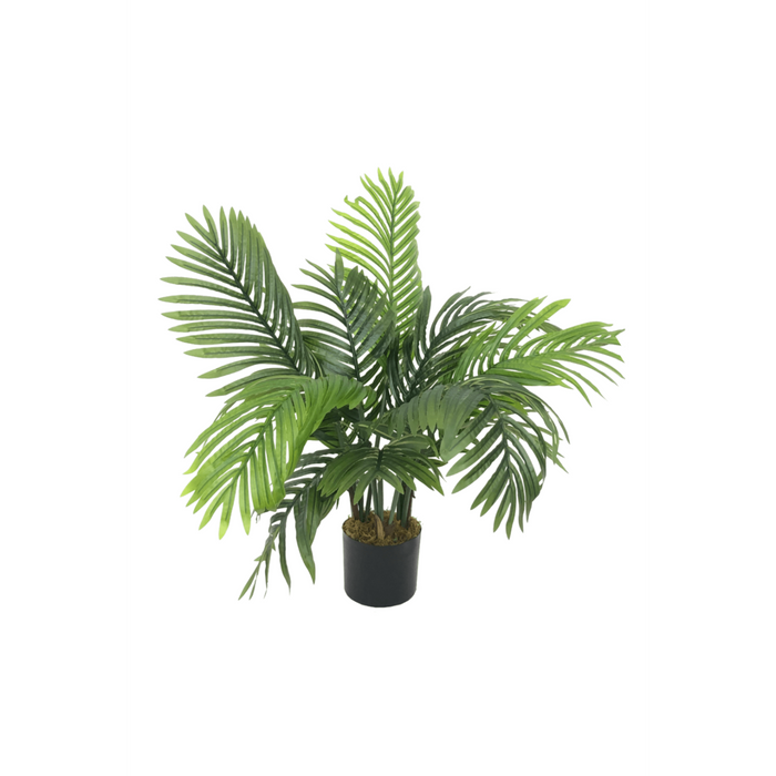 UNICORN Fern Artificial Plant in Flower Pot Stan - H40 x Ø70 cm - Green
