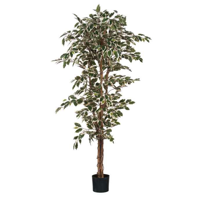 UNICORN Ficus Artificial Plant - H110 x Ø65 cm - Green