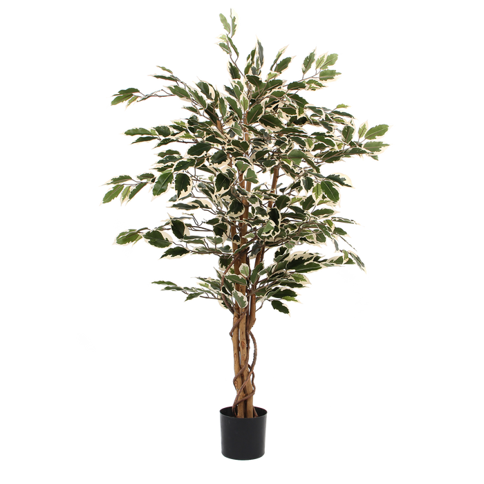 UNICORN Ficus Artificial Plant - H110 x Ø70 cm - Green Variegated