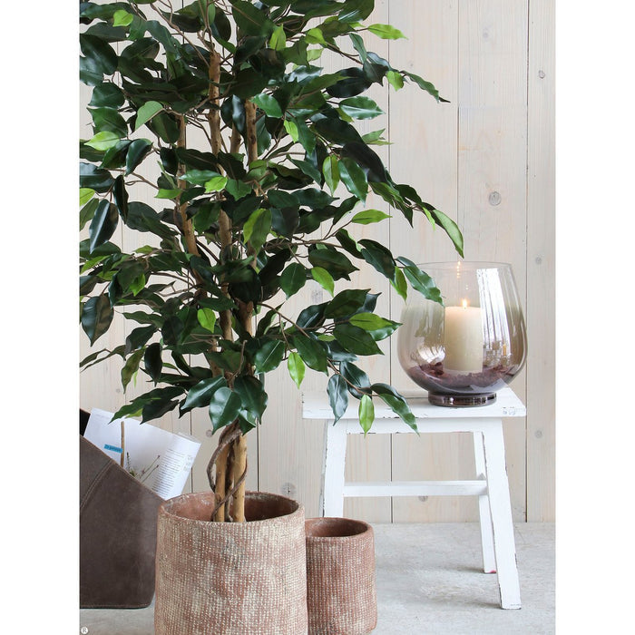 UNICORN Ficus Kunstplant - H150 x Ø85 cm - Groen