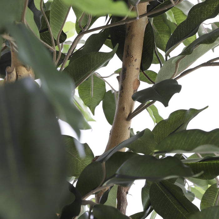 UNICORN Ficus Kunstplant - H150 x Ø85 cm - Groen