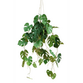 UNICORN Monstera Artificial Hanging Plant 95cm