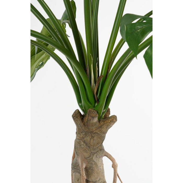 UNICORN Monstera Artificial Plant - H135 x Ø100 cm - Green