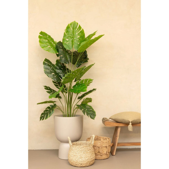 UNICORN Monstera Artificial Plant 165cm