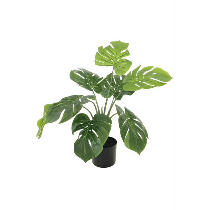 UNICORN Monstera Artificial Plant 60cm