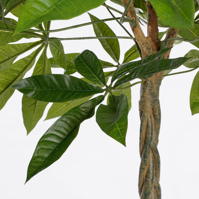 UNICORN Pachira Artificial Plant - H150 x Ø65 cm - Green