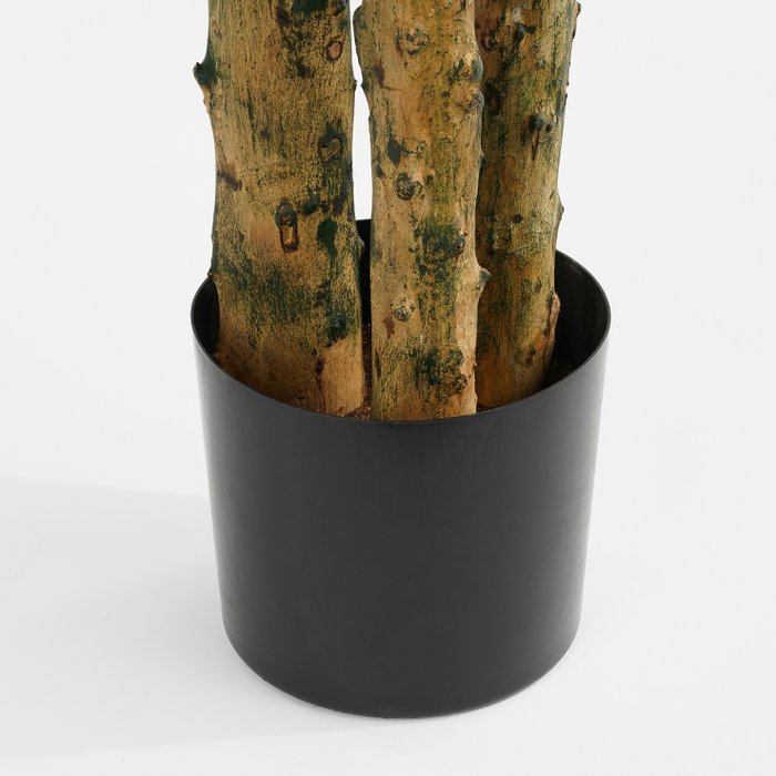 UNICORN Pachira Artificial Plant - H175 x Ø85 cm - Green