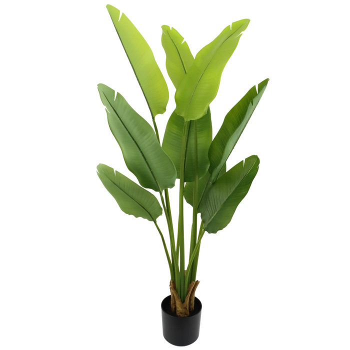 UNICORN Strelitzia Artificial Plant 120cm