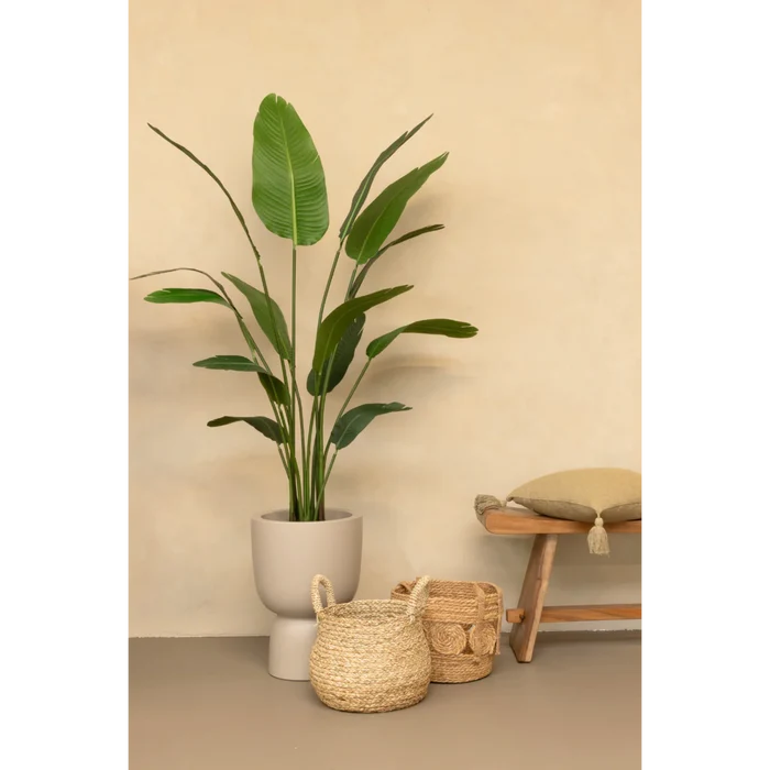 UNICORN Strelitzia Artificial Plant 160cm
