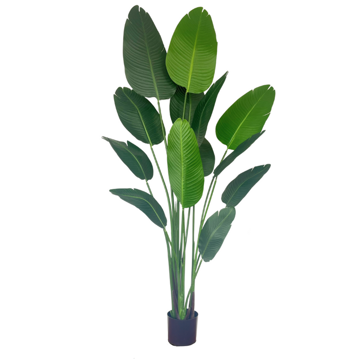 UNICORN Strelitzia Artificial Plant 180cm