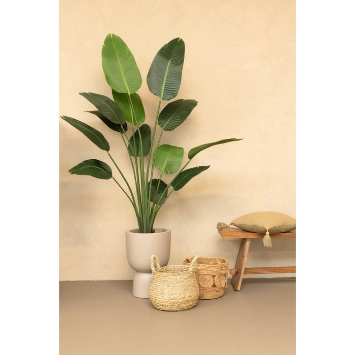 UNICORN Strelitzia Artificial Plant 180cm