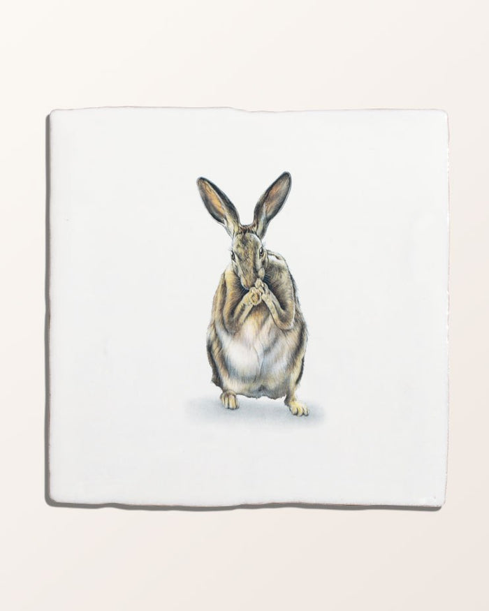 Wiltshire Hares Ceramic By Joanna May